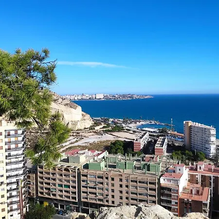 Anna's Alicante
